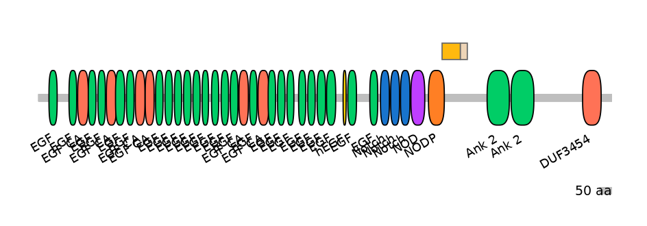 RnoINT0102287-EXC
