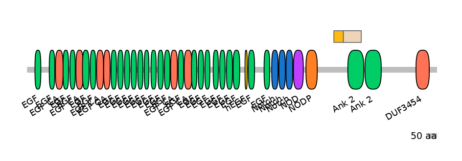 RnoINT0102289-EXC