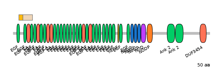 RnoINT0102290-EXC