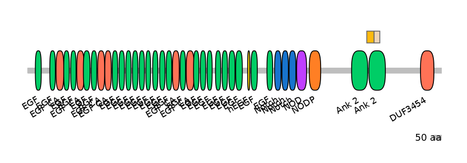 RnoINT0102292-EXC