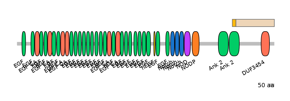 RnoINT0102293-EXC