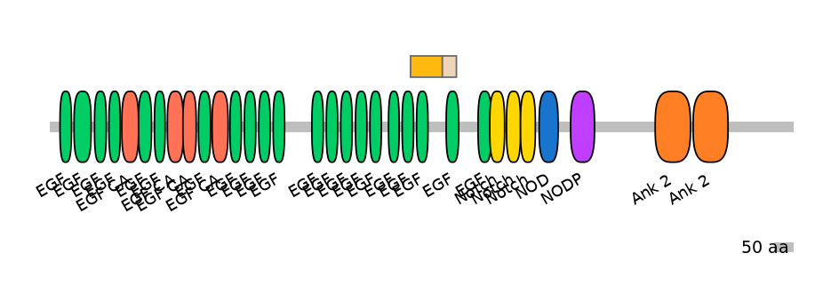 RnoINT0102310-EXC