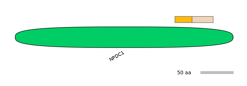 RnoINT0102525-EXC