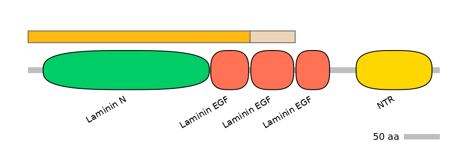 RnoINT0103693-EXC
