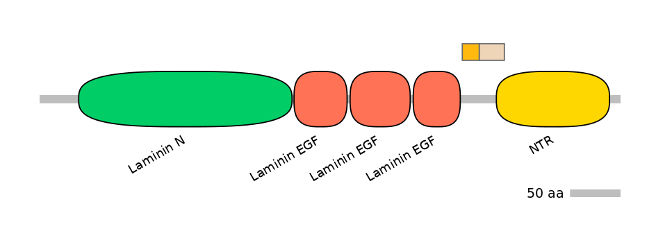 RnoINT0103701-EXC