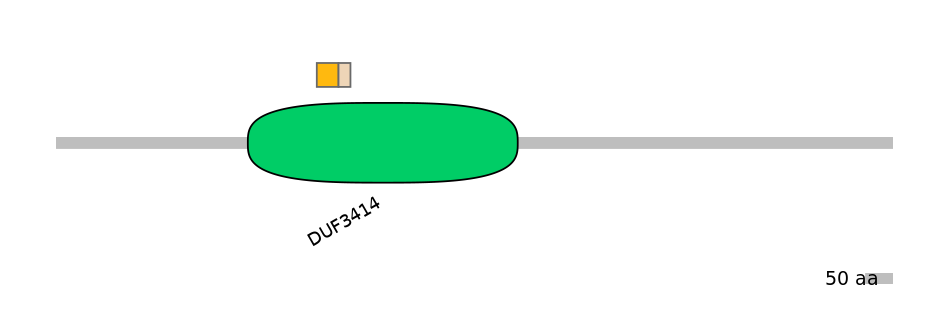 RnoINT0104198-EXC