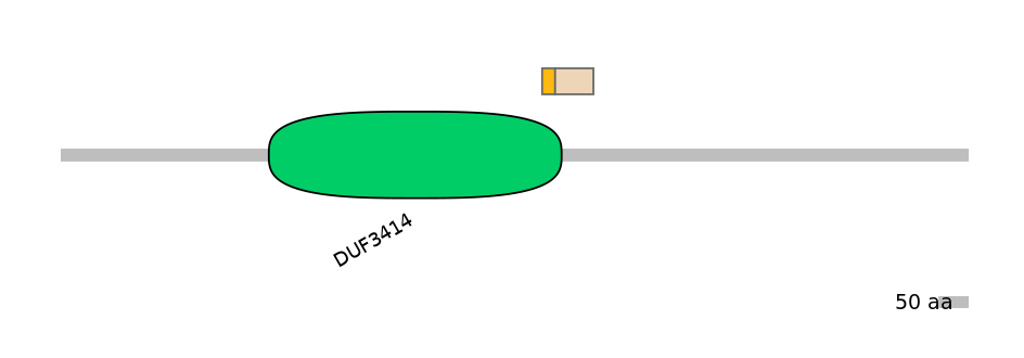 RnoINT0104207-EXC
