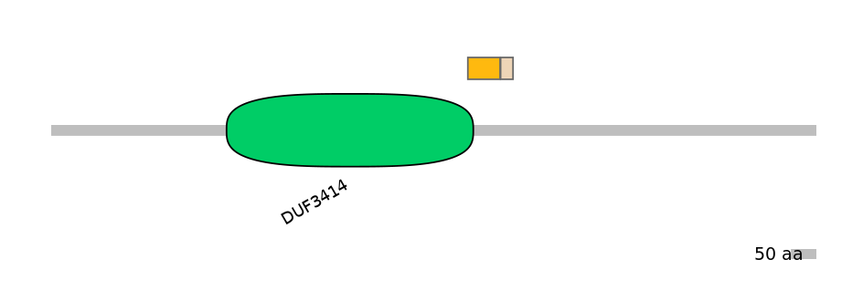 RnoINT0104208-EXC
