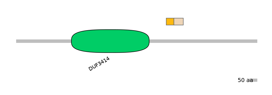 RnoINT0104211-EXC