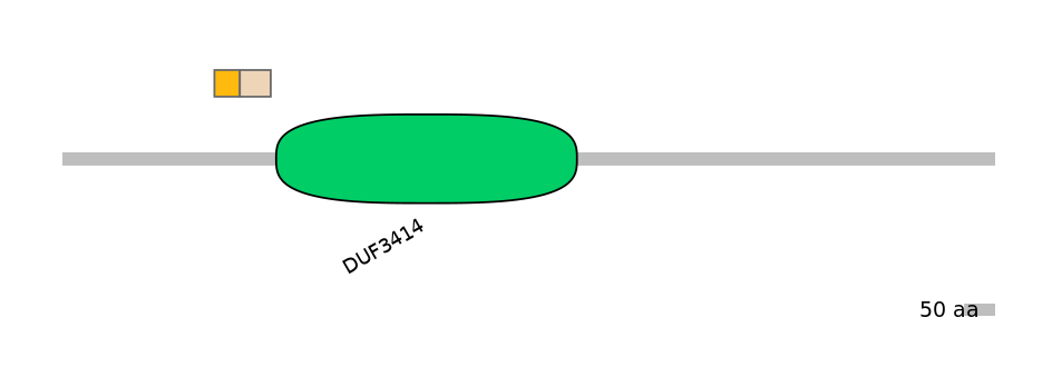 RnoINT0104226-EXC