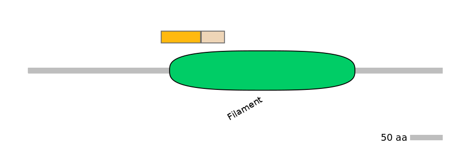 RnoINT0105072-EXC