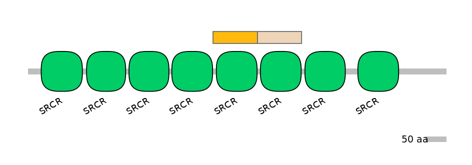 RnoINT0105358-EXC