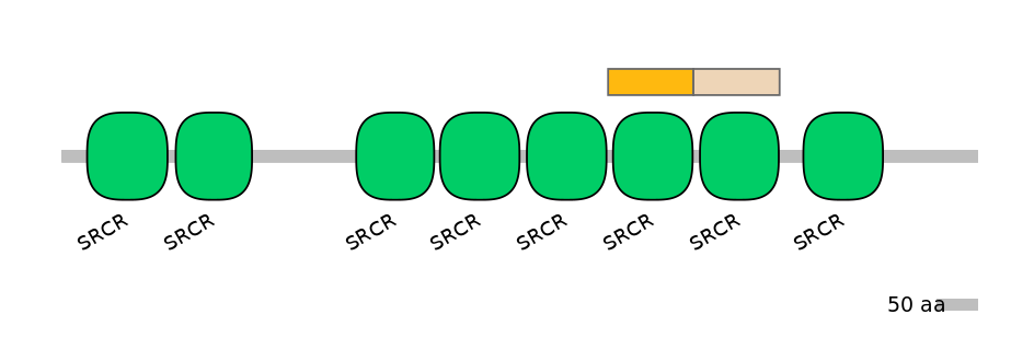 RnoINT0105359-EXC