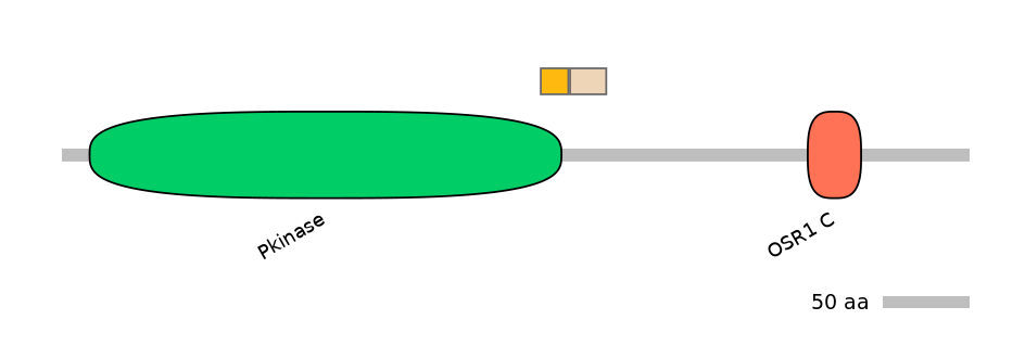 RnoINT0106343-EXC