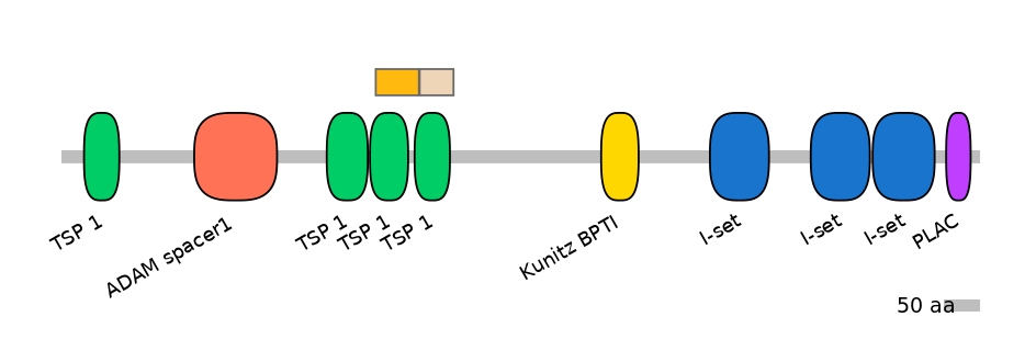 RnoINT0107084-EXC