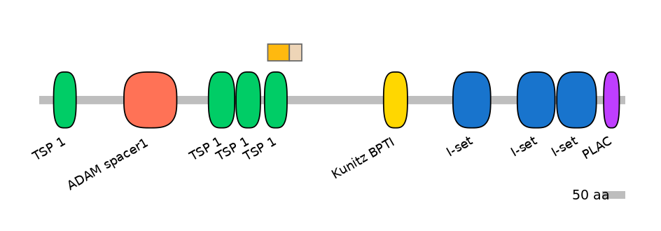 RnoINT0107085-EXC