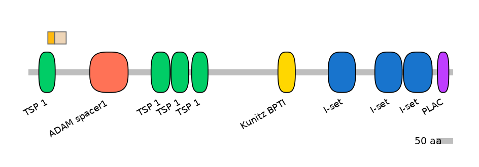 RnoINT0107100-EXC