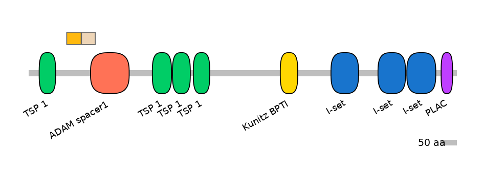 RnoINT0107102-EXC