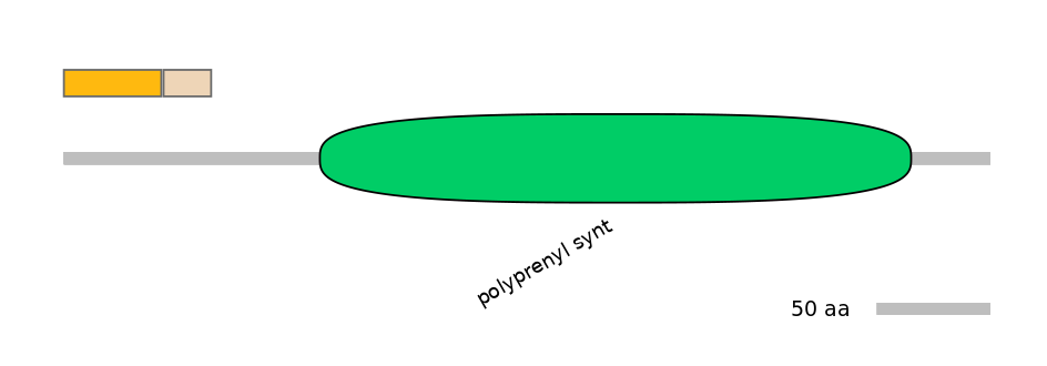 RnoINT0109408-EXC