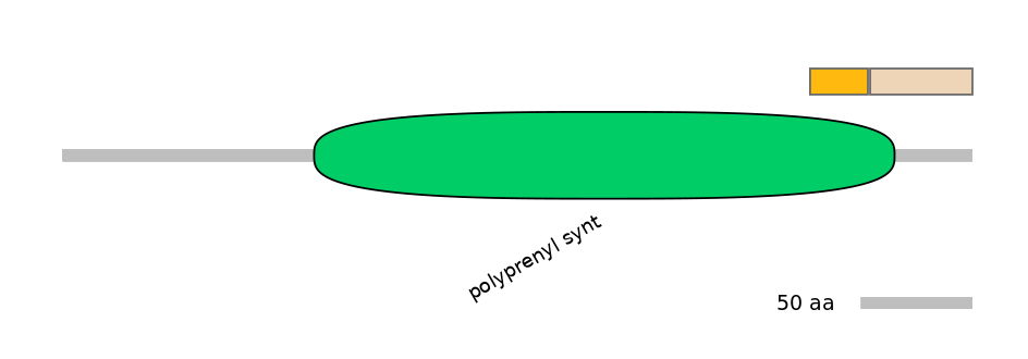 RnoINT0109409-EXC