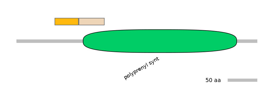 RnoINT0109411-EXC