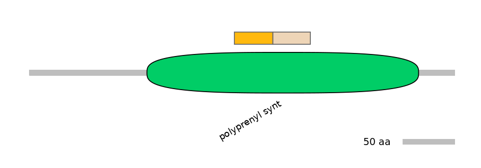 RnoINT0109414-EXC