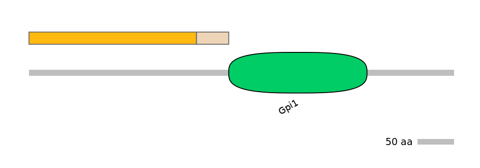 RnoINT0111133-EXC