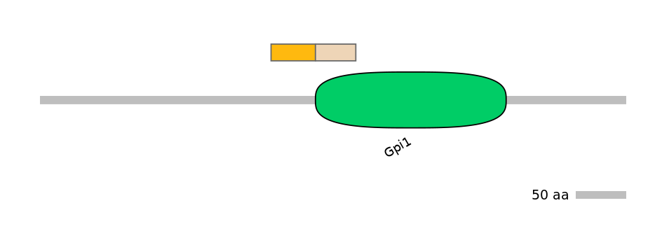 RnoINT0111134-EXC