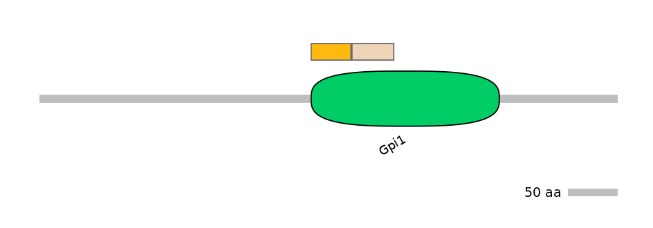 RnoINT0111135-EXC