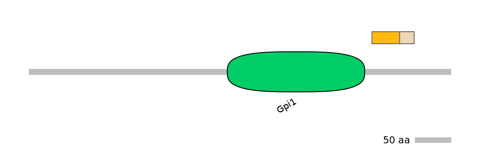 RnoINT0111140-EXC