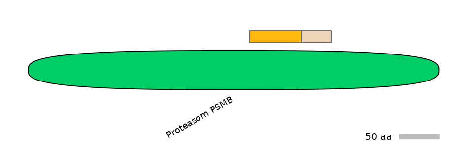 RnoINT0119330-EXC