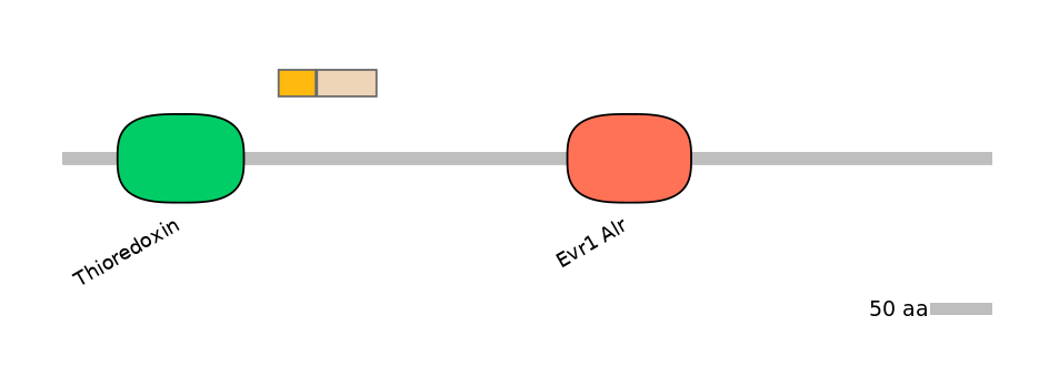 RnoINT0121277-EXC