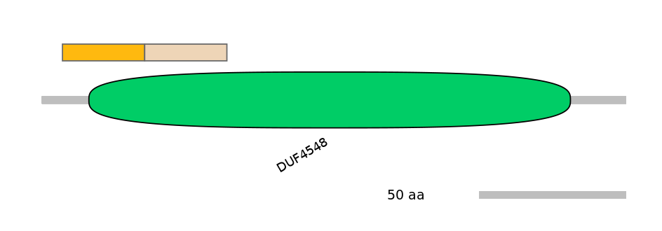 RnoINT0121825-EXC