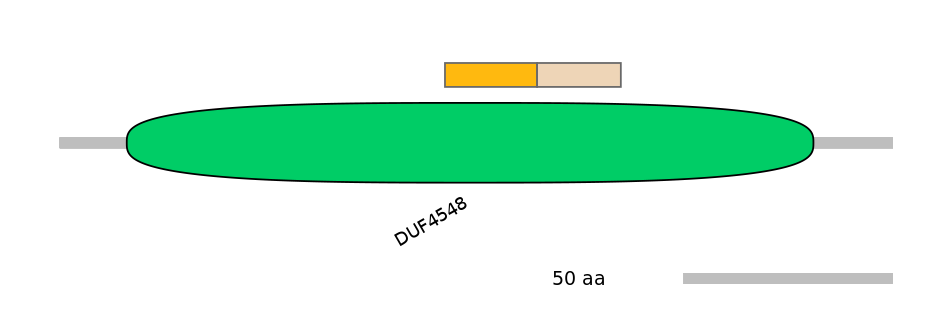 RnoINT0121828-EXC