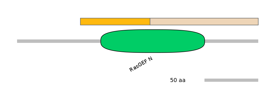 RnoINT0122314-EXC