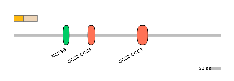 RnoINT0122536-EXC