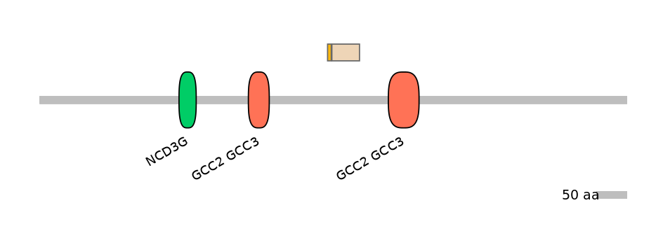 RnoINT0122541-EXC