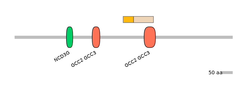 RnoINT0122542-EXC