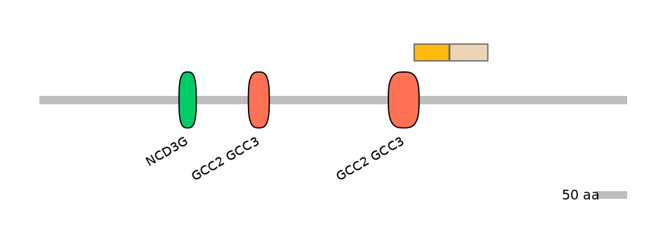 RnoINT0122544-EXC