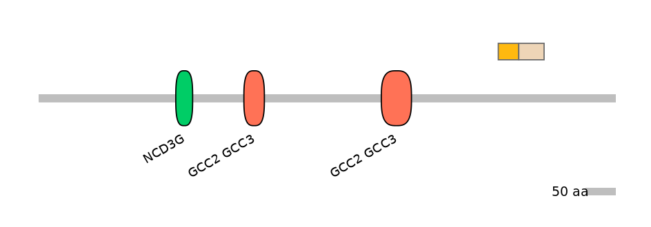 RnoINT0122548-EXC