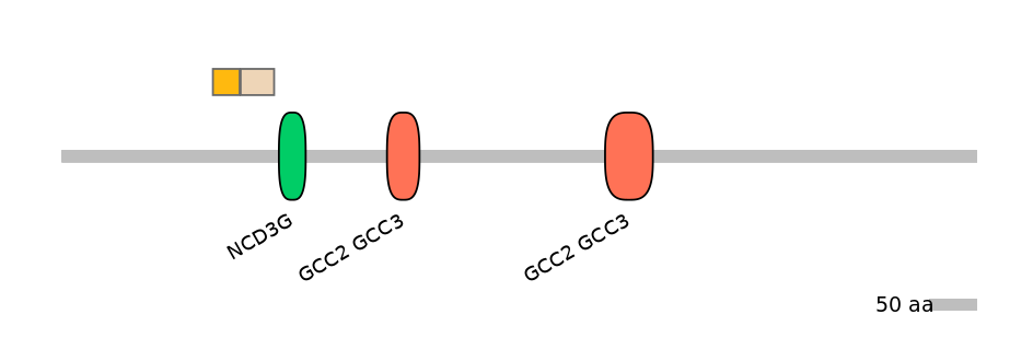 RnoINT0122552-EXC