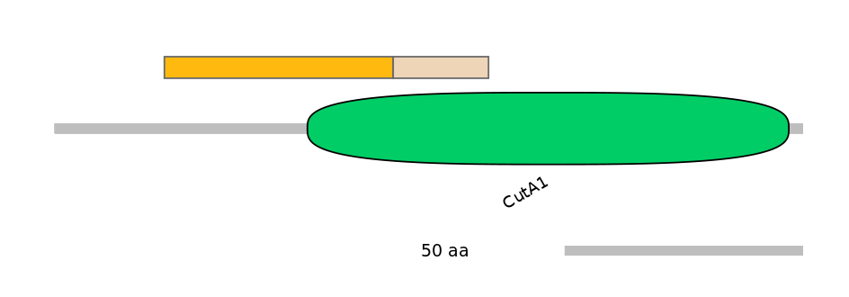 RnoINT0122698-EXC