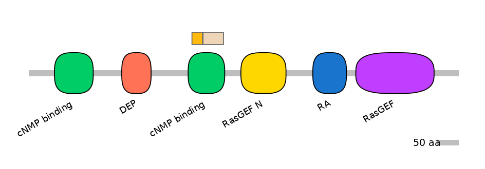 RnoINT0124254-EXC