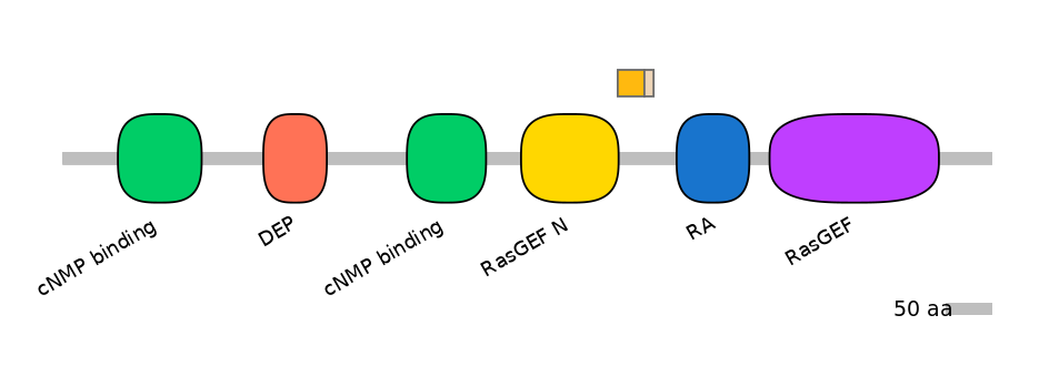 RnoINT0124261-EXC