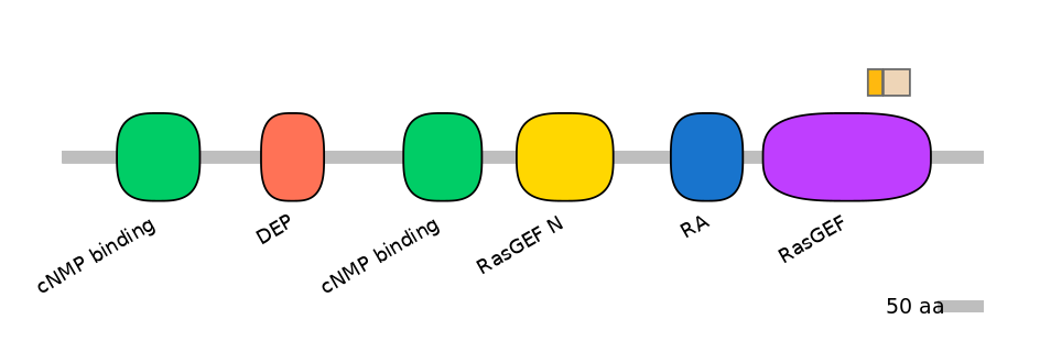 RnoINT0124270-EXC