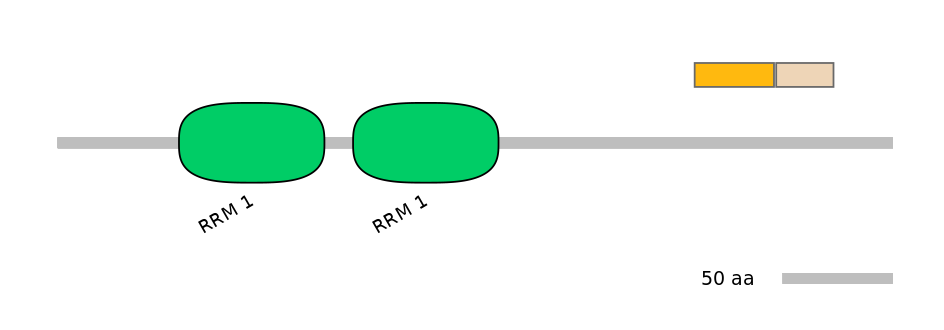 RnoINT0125330-EXC