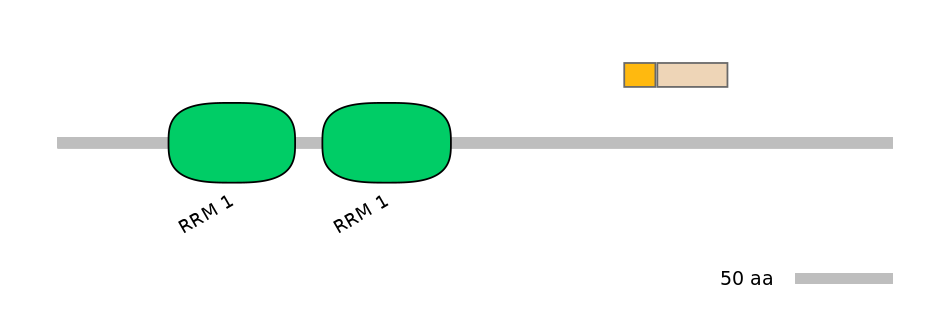 RnoINT0125332-EXC