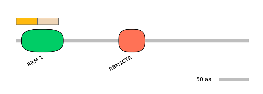 RnoINT0125344-EXC