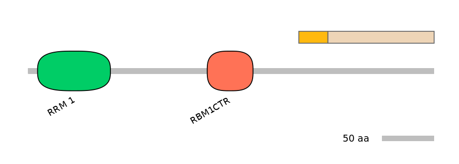 RnoINT0125350-EXC