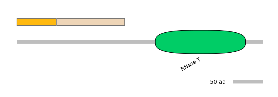 RnoINT0126172-EXC